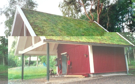 зеленая крыша.jpg