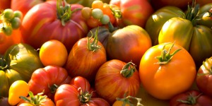 Различные сорта помидоров